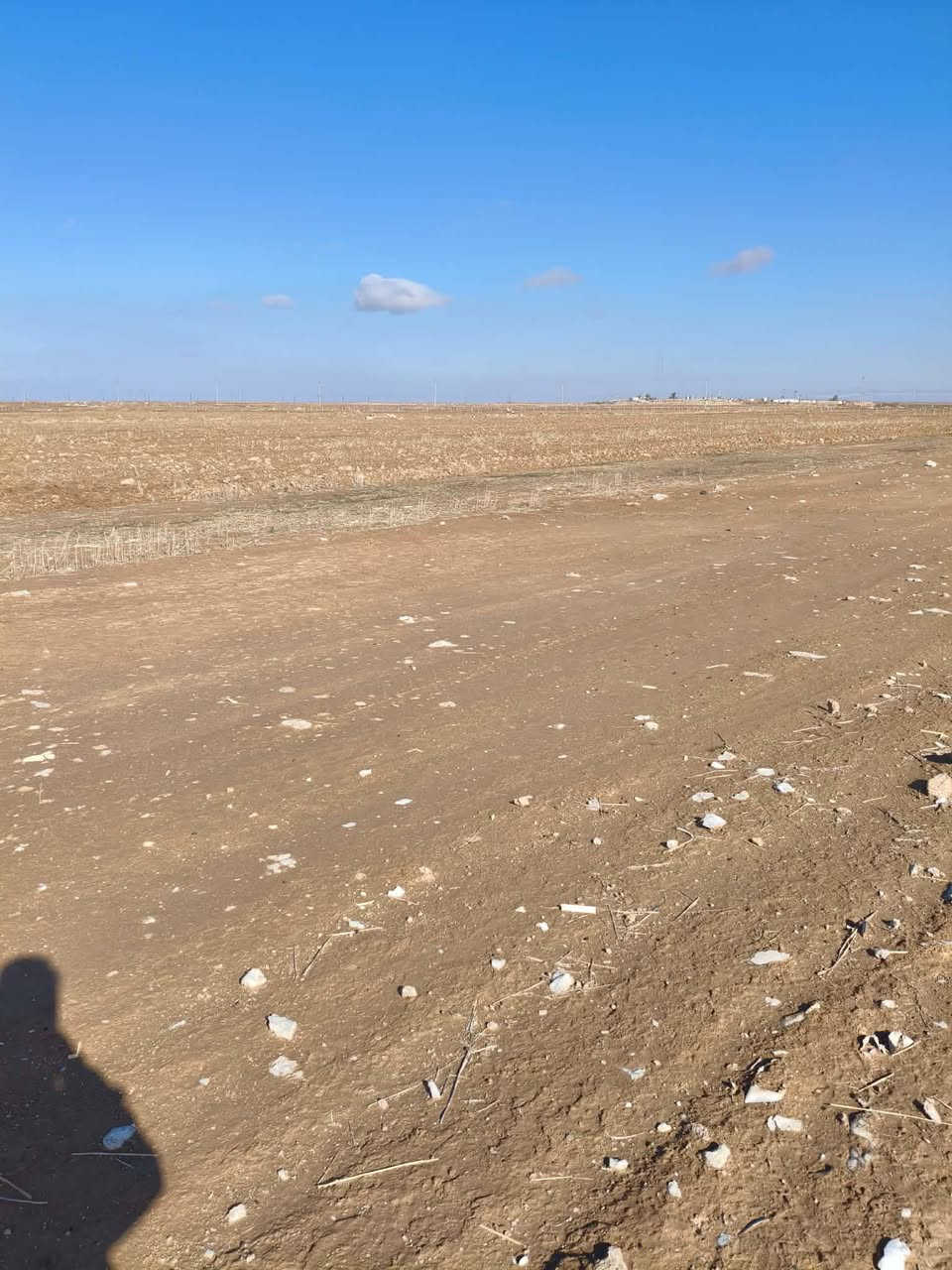 ارض زراعيه ٦ دونم في مشروع ري السكران تقع على طريق بيجي حديثه مقابل السكران الشرقي..
***********.….
