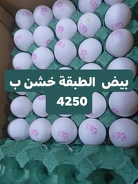 أسواق وعد حمادي • بيض • عرض جديد