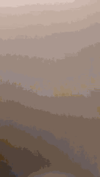 ستوته للبيع موديل 18 اوراق كامله 07808947597