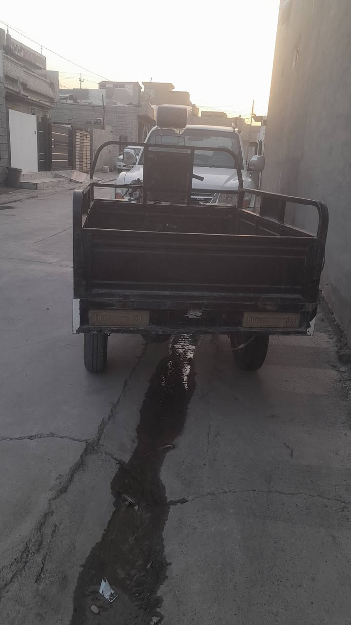 ***********    
***********.
