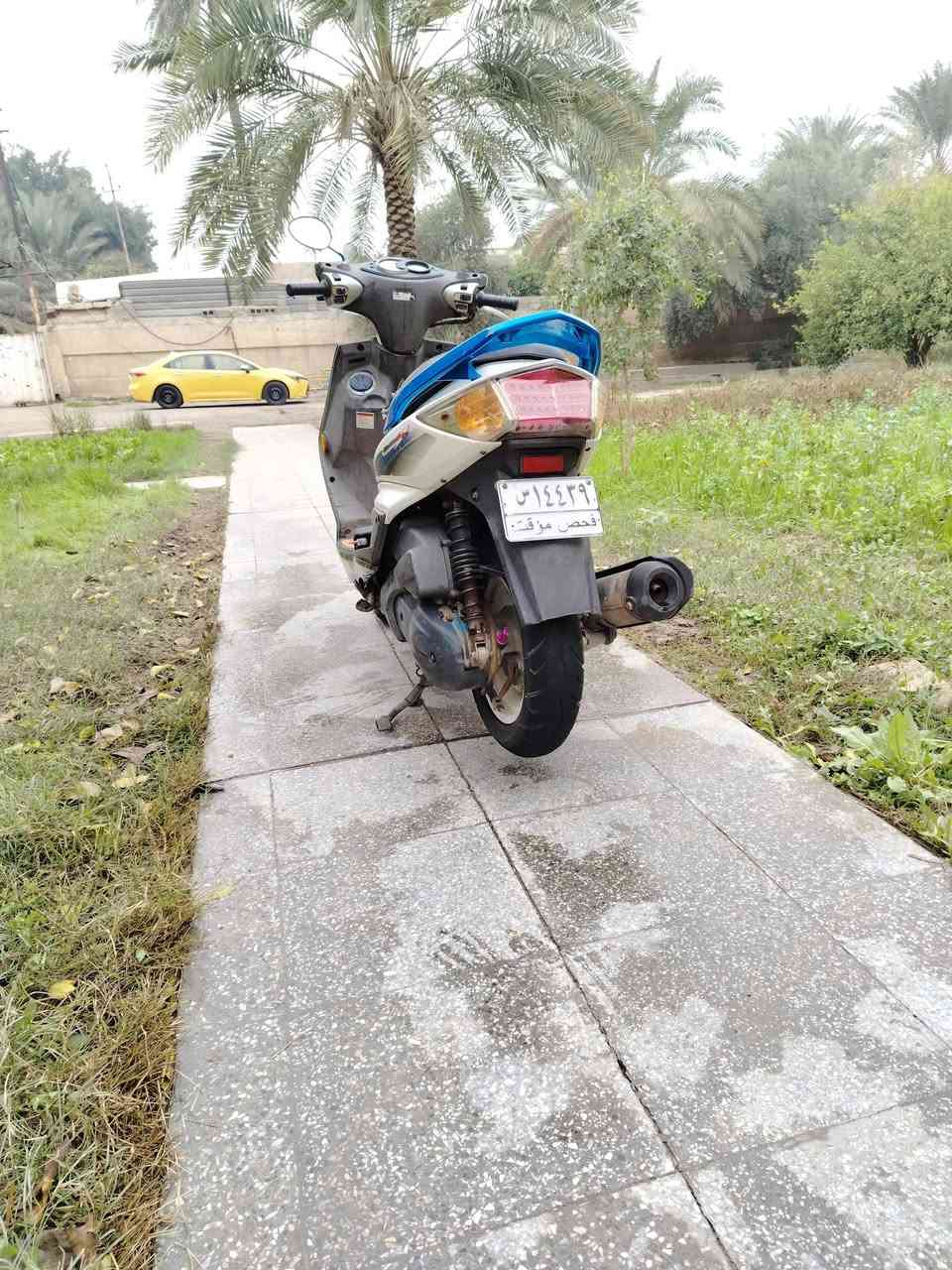 السلام عليكم سكنس فحل خمسينيه دراجه بحاله الرمبه مكفوله من التاير للتاير صارلها شهر وشويه من نازله من الرمبه دراجه شلعه ومعدل تاكل الكاع عليها كت كامل كلجات رياضيه دراجه ختم واحد تتعب دكول جديده مكاني الكاضميه *********** السعر خاص
