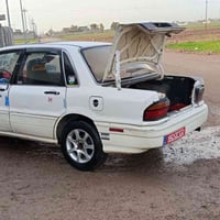 رؤوس بويل • ٣ قطع • سليم