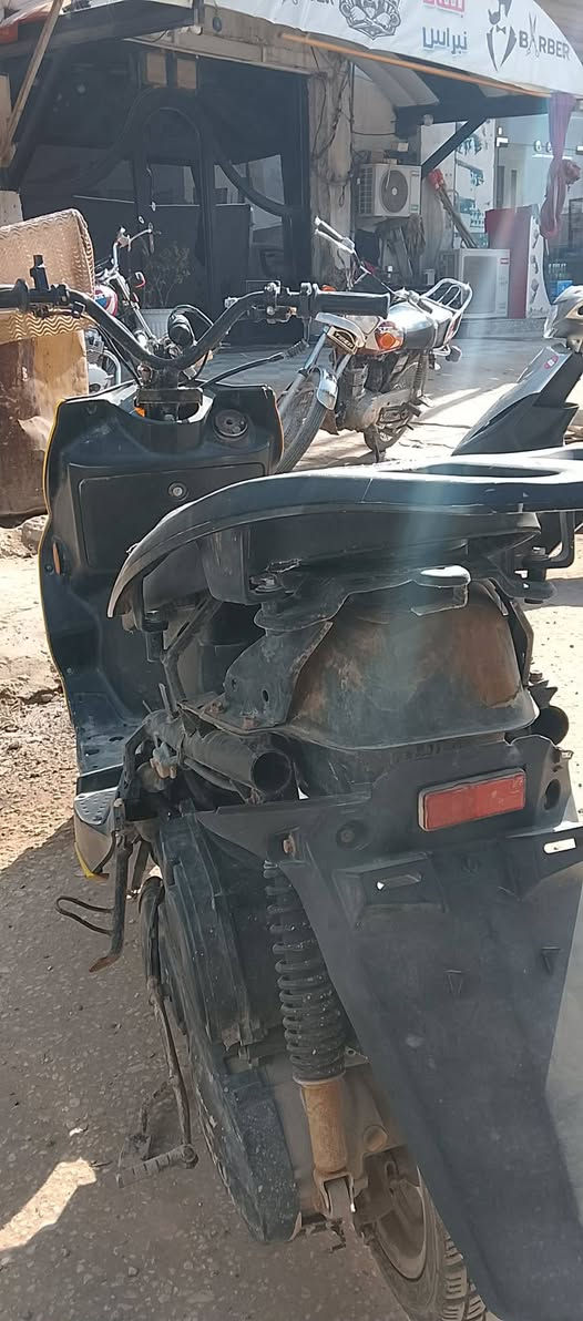 السلام عليكم سكنس فحل 
خرسه كابريته يرادله فقط دوشمه كشن
المكان حله ***********
