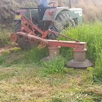 حاشوشه • نضامي • سريعة