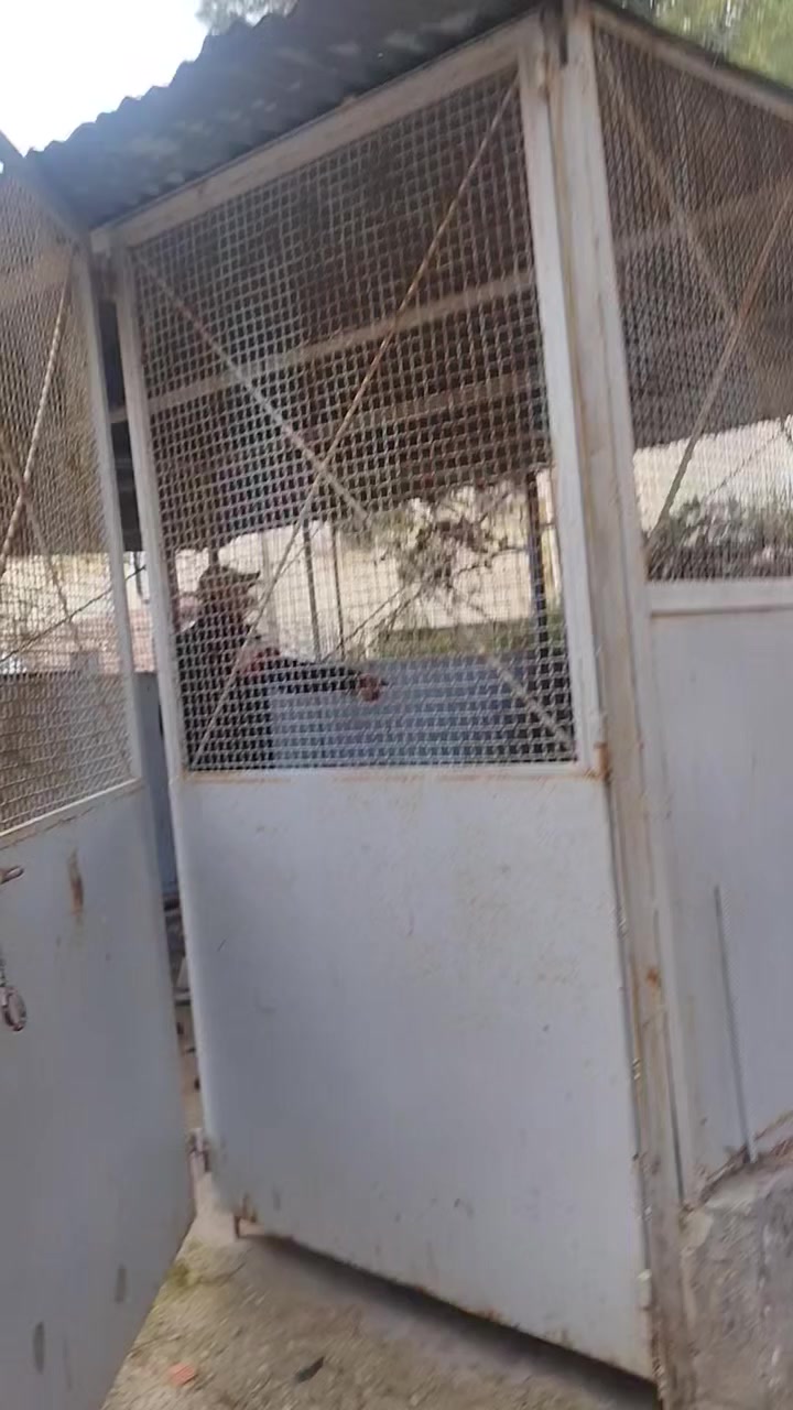 زوز قراجات حديد و سقف طولة ڨرڤال 6 متر علي 7 متر حاجة نظيفة 23449841


**إذا كنت صاحب هذا الإعلان وتريد حذفه لأي سبب، رجاءا أرسل رسالة إلى الدعم الفني**