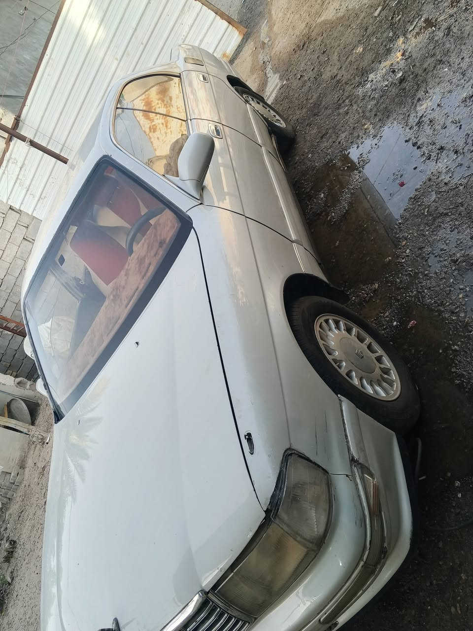 تفاصيل بل صوره
