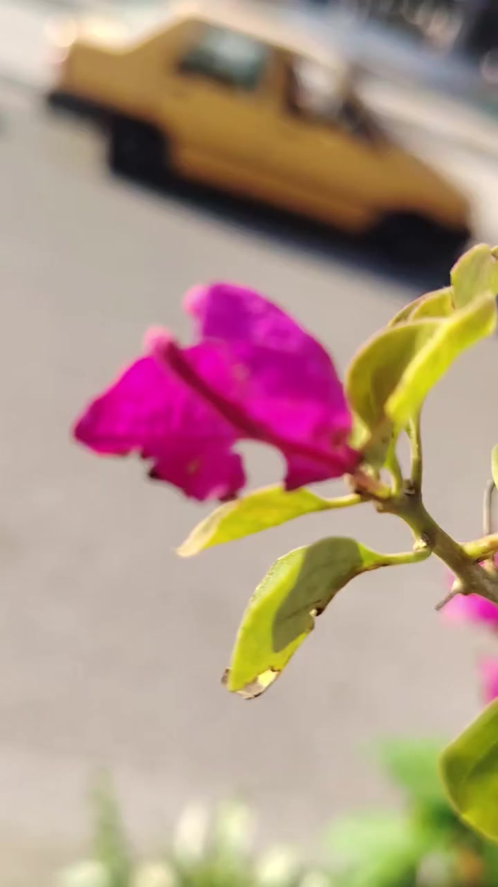 بسم الله الرحمن الرحيم
اللهم صل على محمد وآل محمد
توفر ضلي بي
مطاط جلد نمر فوجير
يوجد خارجي جهنمي متسلق  جوري


**إذا كنت صاحب هذا الإعلان وتريد حذفه لأي سبب، رجاءا أرسل رسالة إلى الدعم الفني**