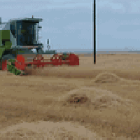 حاصده • موديل 2013 • كركوك