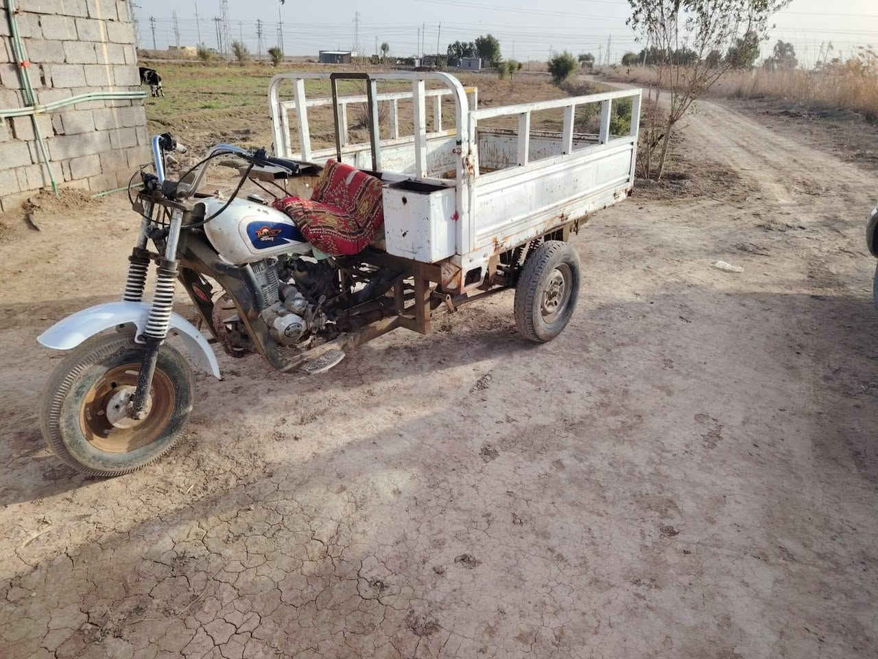 ستوته للبيع كلك 20 مكفوله عشاير ***********
