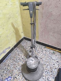 جلاية • صيني • البصرة