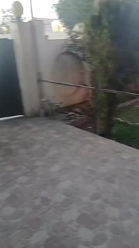 الحي الواسطي • ٣٢٥م² • ٥ غرف نوم