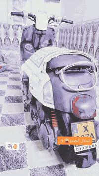 سلام عليكم بوليس حاويه صار لي شهر من منزلها 👉بوشه 49 كله بلادي مستعجع البيع الشراي خيراسلني تعبني مكاني نجف حي الرحمه والسعر 850 👉وبيها مجال قليل👉*********** اتصل على هذا الرقم
