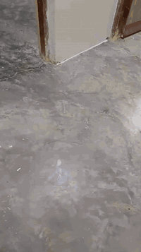 في ملك شاه قرب موكب الغريب الغرباء 125 متر متوفر غرفة نوم 4×6 صالة 1.5×2 مطبخ 2.5×4 

و كيزر ماء وتانكين ماء وماطور ومخسلة ماعدا سقيفة

السعر 18 وبي مجال

***********
