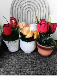 مجمع السلطان • الزعفرانيه • تخفيضات