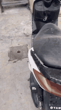 سكنس نثيه للبيع السعر ٣٢٥ وبيها مجال تفاصيلها بلفديو  للأستفسار0770007...