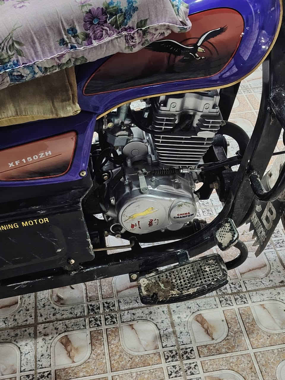 ستوته للبيع 23 السعر خاص


**إذا كنت صاحب هذا الإعلان وتريد حذفه لأي سبب، رجاءا أرسل رسالة إلى الدعم الفني**