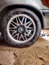 ويل طخم • حجم 16 • بخليه او صقر