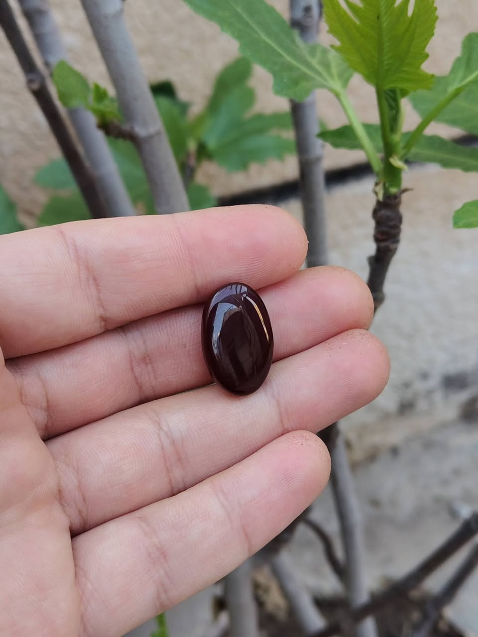 🛑 يا الله
عقيق يماني طبيعي 
لون كرز الكرز  🍒 طول 22 ملم 
لون مشمشي 🟠🍊 طول 23 ملم 
للإستفسار والحجز / ***********
