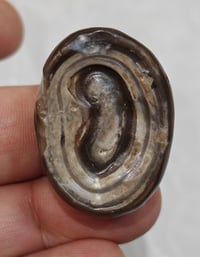 أحجار الرمادي • قطع نادرة • طاقة روحانية