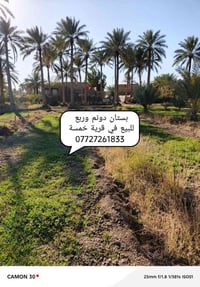 بستان للبيع • دونم وربع • المهناوية قريه خمسه