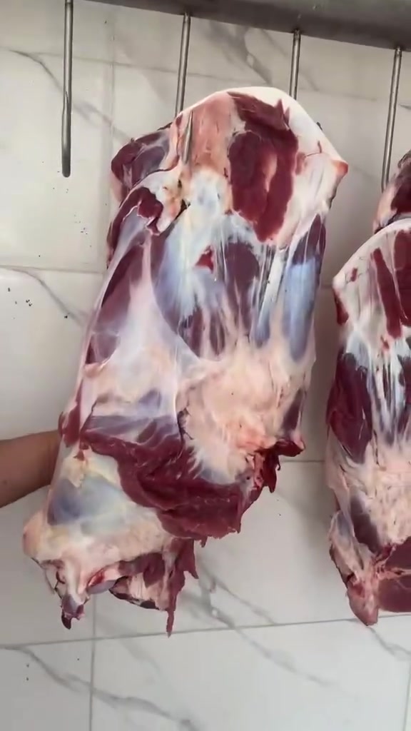 الفرع الثاني
قصابه الثقه❤باداره صباح القطبي😊
حيدر مهدي💯
الرقم ***********يتوفر لدينا توصيل مجاني❤لتجهيز المطاعم والمناسبات❤😍
للعنوان للعنوان قرب حجي هادي مقابيل الطوارئ مقابيل الحلوى
