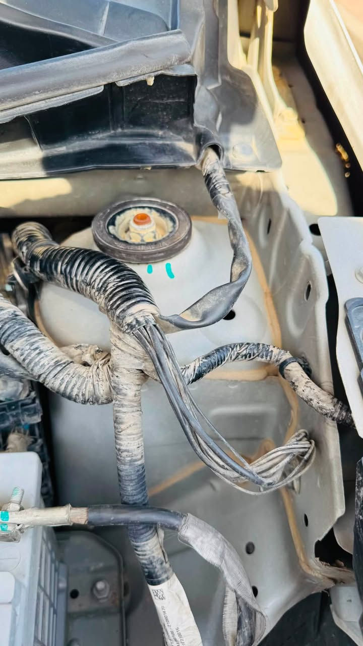 السلام عليكم 👋
سياره كلين تايتل مكفوله عام 🚗
نيسان صني 2022 هندي 
ماشية 77 الف 
محرگ 15اقتصادي 
سياره على ايد وحده الشرعي مالها موجود
رقم اربيل 2️⃣2️⃣
هزه ما ساقطة
مكاني موصل ايسر
محرك شرط لا نفخ ولا صرف ولا رخاوه 
بليته زركه🟦
تخم تايرات جديد 🛞
تحكمات ستيرن 🎛️
التبريد ثلج ❄️
شاشه 🖥️تدعم الكار بلاي
كامره خلفيه 📷ام الحساس
سبايدر بلادي
السعر 115 بي مجال  💵💵
رقم الموبايل ***********
