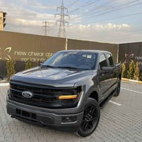 فورد F-150 • ٢٠٢٤ • حادث خفيف