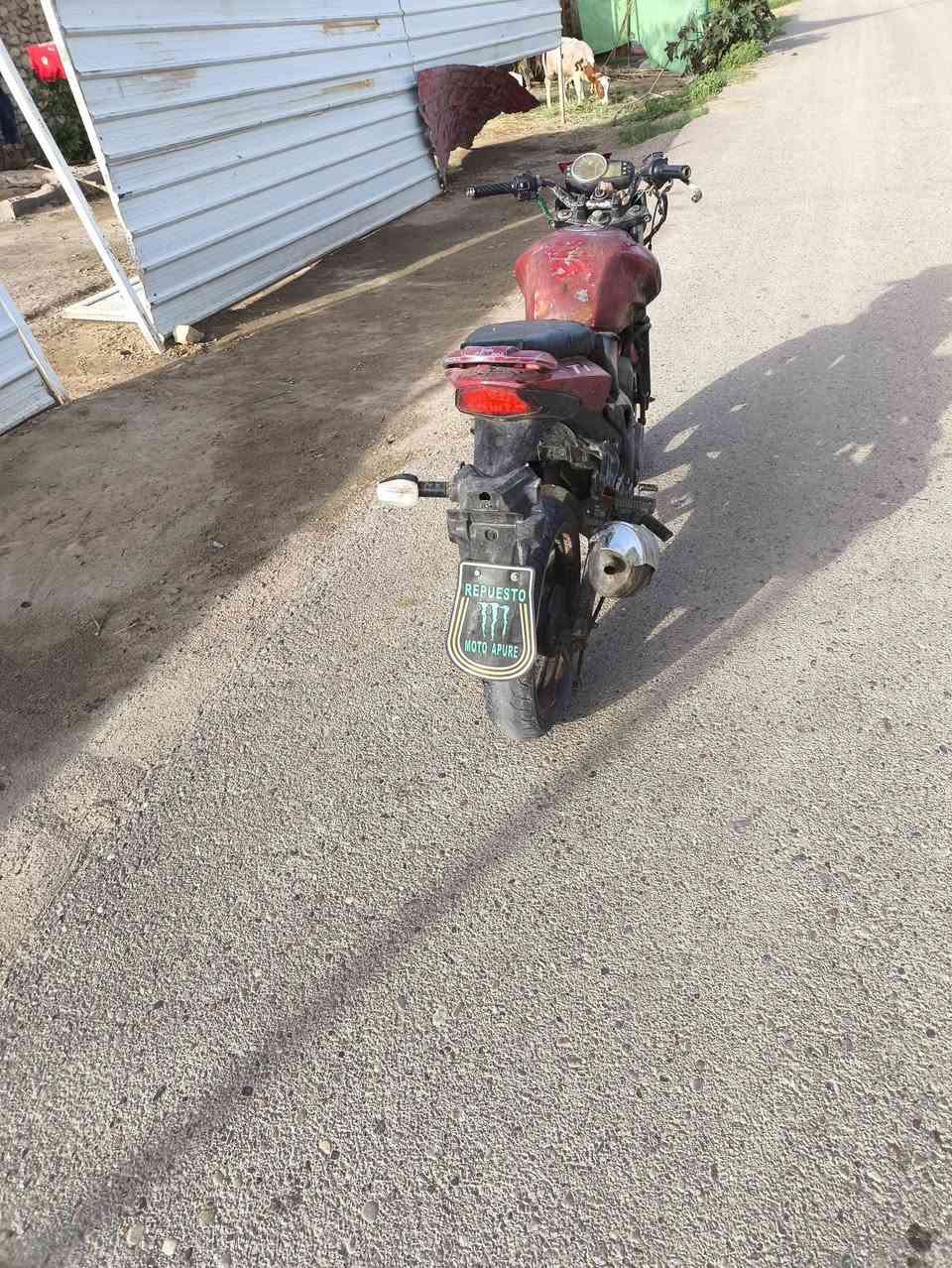 ماطور سايم بطحه للبيع 200 مطار الاسقاطه


**إذا كنت صاحب هذا الإعلان وتريد حذفه لأي سبب، رجاءا أرسل رسالة إلى الدعم الفني**