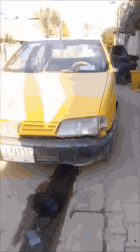 السلام عليكم بيجو روى مكانه بلنجف للبيع موديل 2009 بابل محرك كربلائي كير اوتوماتيك  سنويه صاقطه عليه هيئة وغرامة 180الف  رايدله  ترتيب وادامه .. راعيه بابل   بس ابيع كوم حديد
سعره 12ورقة  رقمي ‏‪***********‬‏
