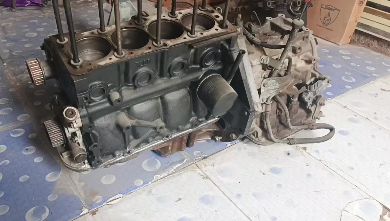 ‏‪***********‬‏
