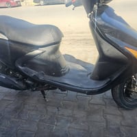 فراشه فحل • ياباني • حاويه