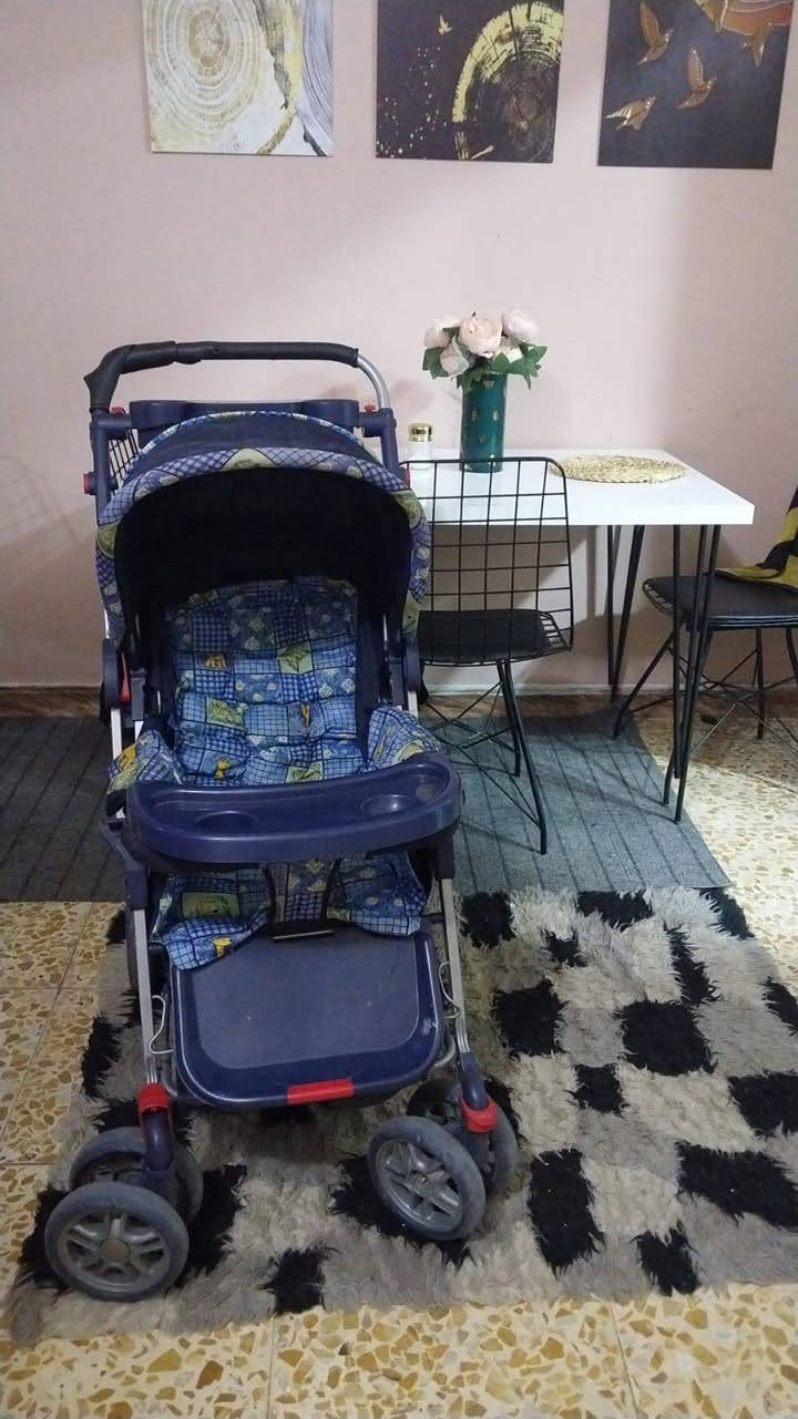 غراض اطفال للبيع للإستفسار أرجو مراسله الخاص لطفا


**إذا كنت صاحب هذا الإعلان وتريد حذفه لأي سبب، رجاءا أرسل رسالة إلى الدعم الفني**