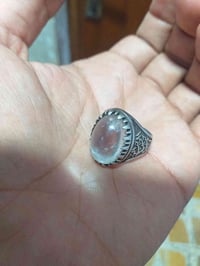 در نجف اصلي • البصرة المعقل • توصيل