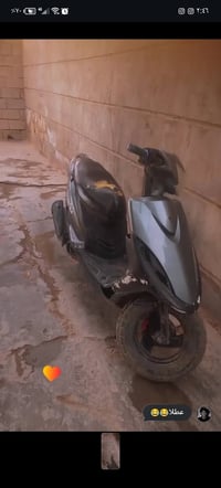 ماكس • ٤٩ • فحص