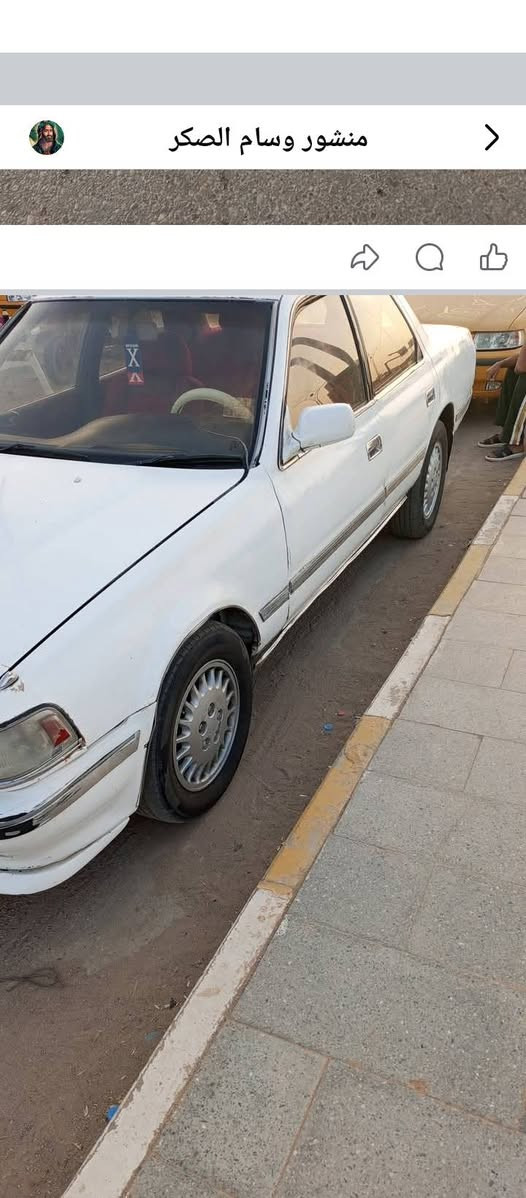 بيع مراوس حسب القناعه ناصريه مركز التواصل ***********. بخدمتكم
