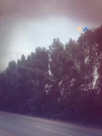 نامه مكينه انتنس شاصي ٢٣صاله شهرين من معمره أوراق اصولي سعر ٥٠٠وبيه مج...