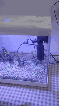 السلام عليكم حوض اسماك زينه العرض 35 س الارتفاع 25
معه الحصو الزينه الملون والماطور شغال وشمعه حوض ضد الماء 
السعر 25وبي مجال  الهاتف ***********
