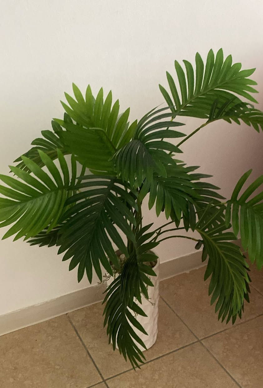 مرحبا أغراض للبيع كلهم نضيفات واستعمال قليل


**إذا كنت صاحب هذا الإعلان وتريد حذفه لأي سبب، رجاءا أرسل رسالة إلى الدعم الفني**