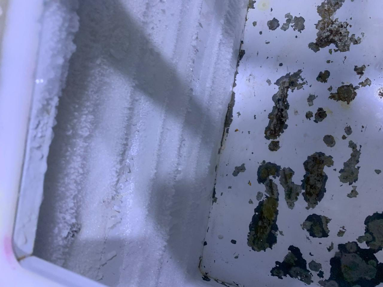 مجمده  ايسكريم للبيع سعر ٤٥٠   مكاني بغداد المحموديه               8درجات تبريد 
 *********** بي واتساب ✅
