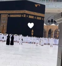 عمرة • استلام جوازات • الرمادي الصوفية