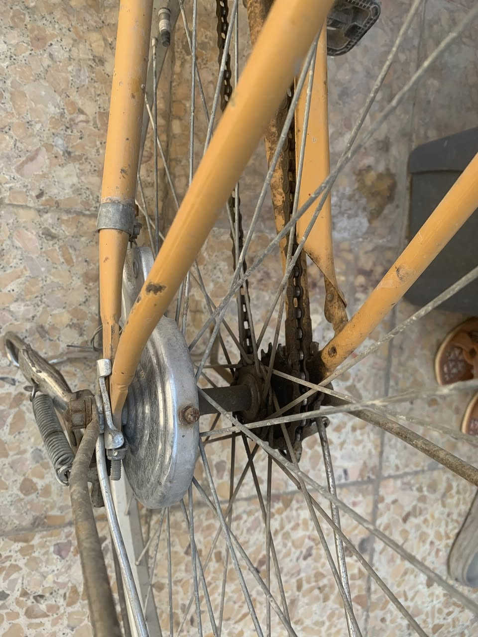 سلام عليكم بايسكل نضيف اخو الجديد ياباني اصلي ابو اليبل سعره ١٢٥ او مراوس بدراجه ٦٠


**إذا كنت صاحب هذا الإعلان وتريد حذفه لأي سبب، رجاءا أرسل رسالة إلى الدعم الفني**