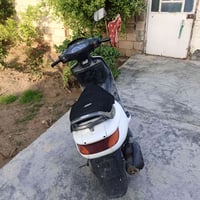 فراشة • مكفولة • اوراق