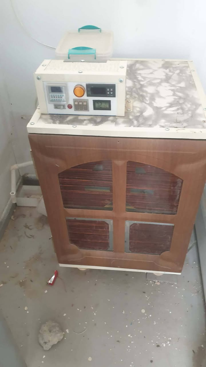 فقاسه فول اوتماتيك ١٢٥ بيضه شي درجه اوله بعده لوك سبب البيع ماكو كهربا السعر ٢٩٥ وبيها مجال عنوان كركوك بنجه علي ***********
