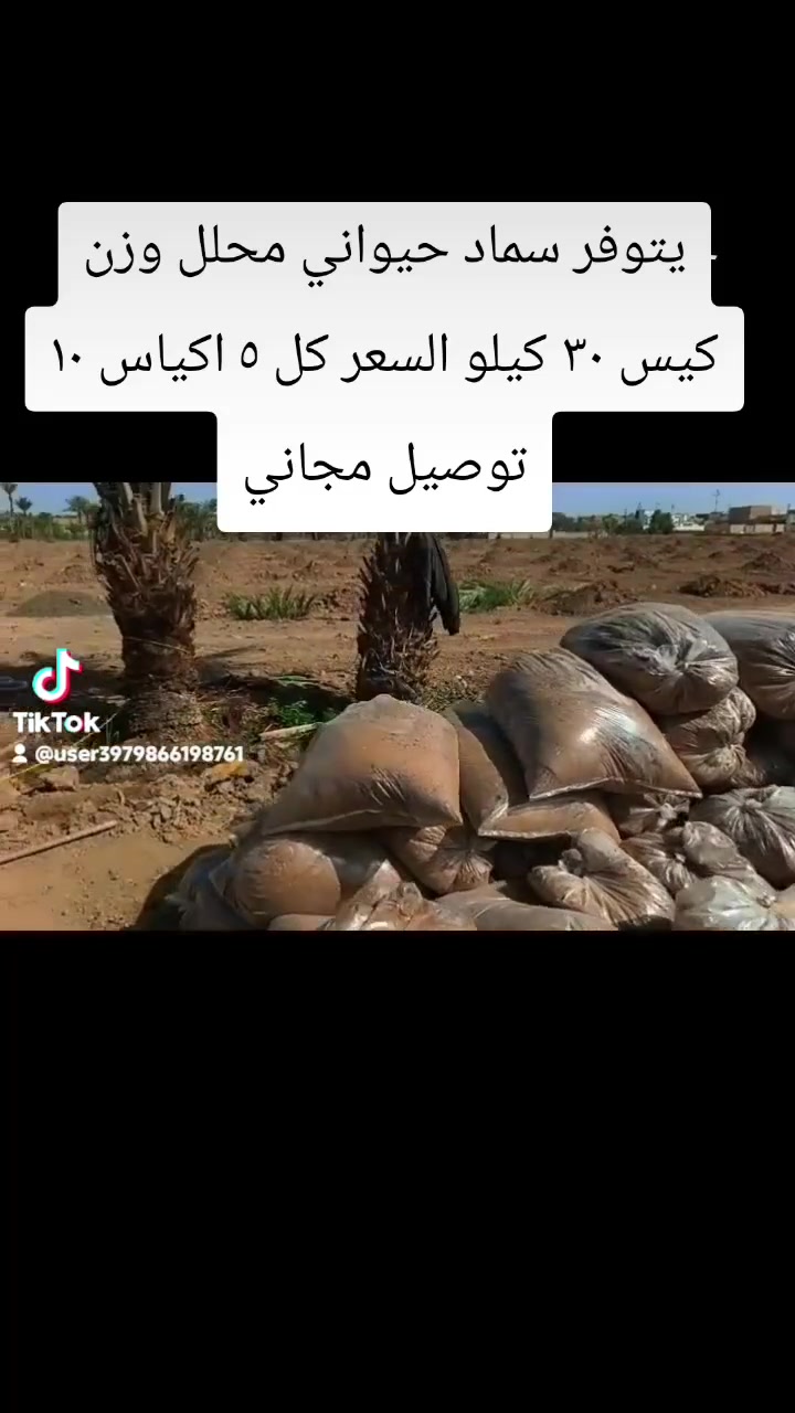 يتوفر سماد حيواني مع زميج شط نضافه فول تعبا بجياس توصيل الباب البيت للحجز والستفسار واتساب ***********
