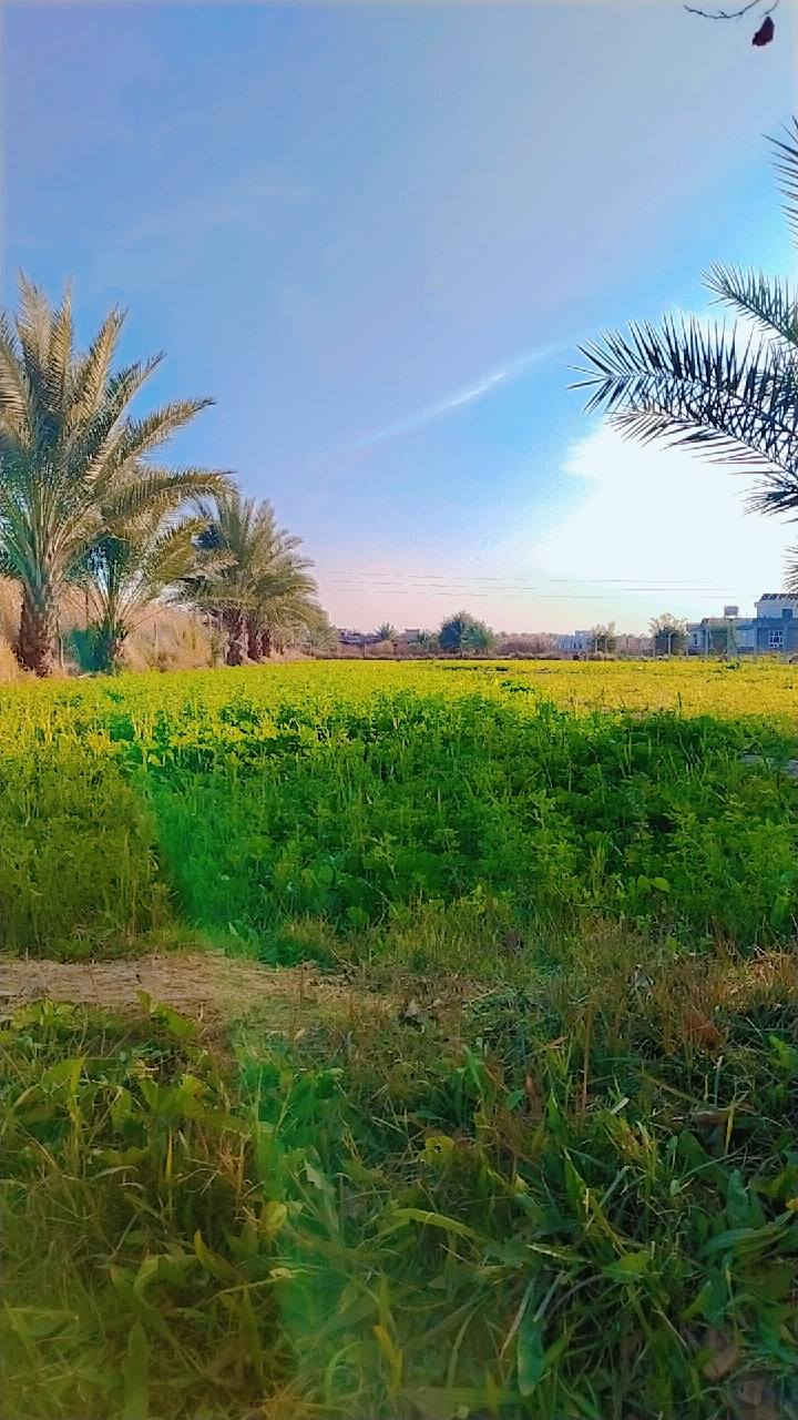 اسلام وعليكم للبيع ارض زراعيه ثنين دونم مع بيت المساح 400 متر العنوان جبله منطقه الحيدري مجاور ثانويه الحيدري للاستفسار الاتصال على الرقم ***********
