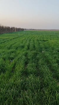 مزرعة • عمود ٩٤٠ • بيتين ٢آبار