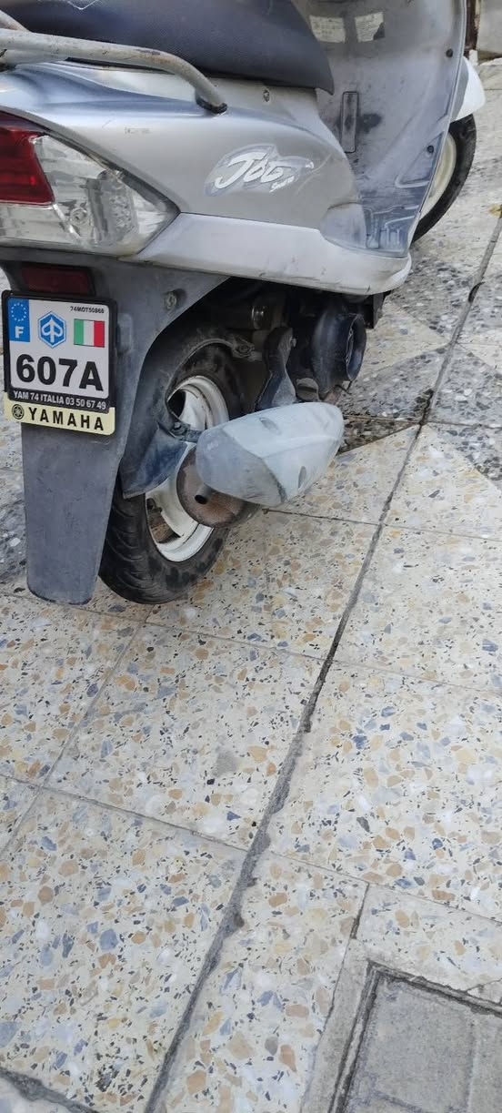 ماكس منغولي جديده شرط حاويه 
سماوه ***********♥️🌹💙
