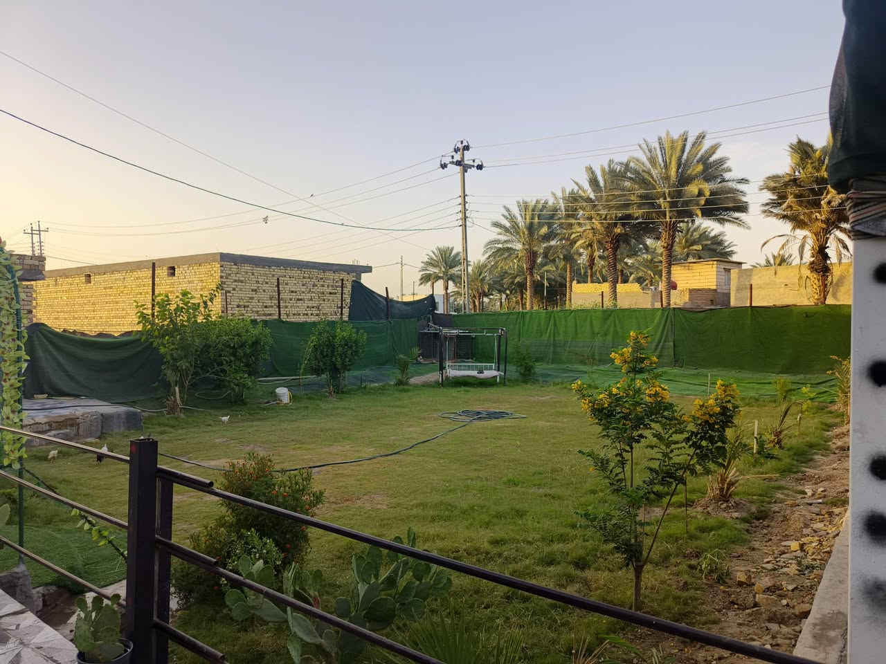 السلام عليكم دار لبيع المساحه ٧٥٠ الموقع حله شارع ٨٠ نزله البو خطه نهيت حي نصر البيت يحتوي عله ٤ غرف نوم و استقبال وهول وحديقه مي وشارع تبليط كهرباء ومولده شارع الجنس كاع اصلاح زراعي المراجه عله هاذه رقم ***********
