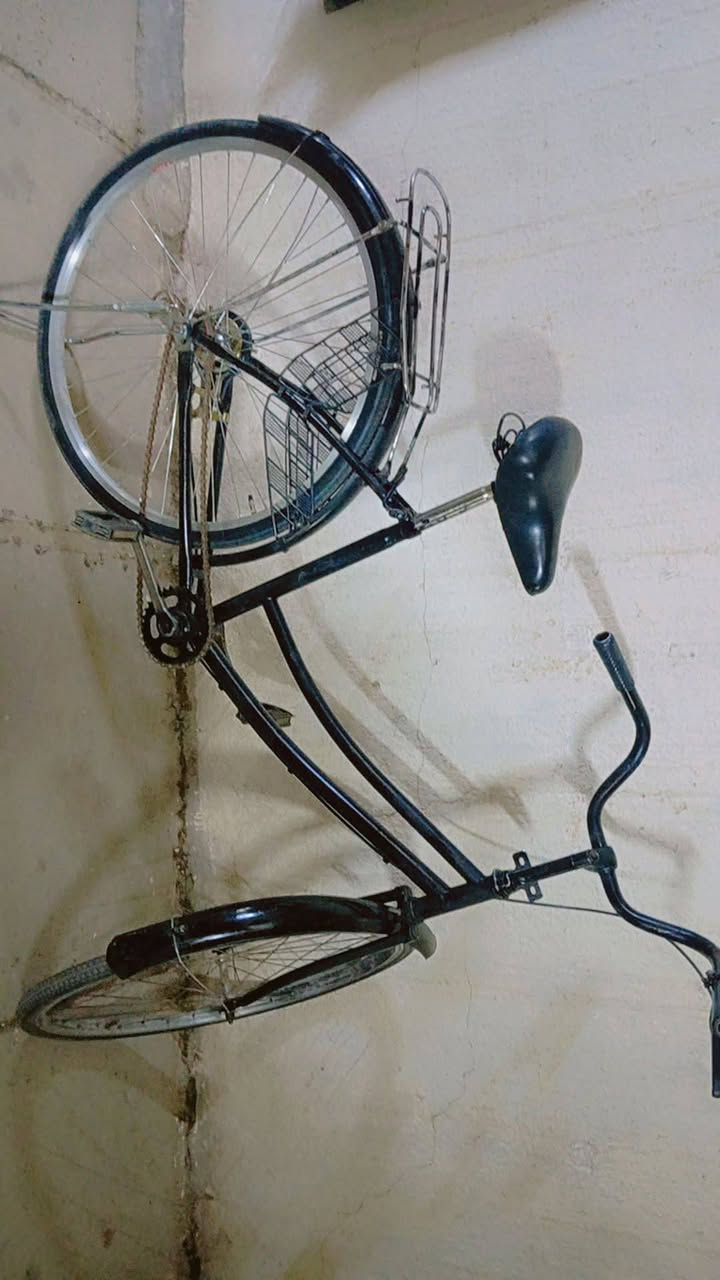 دراجه هوائيه السعر 50 السكن شارع فلسطين


**إذا كنت صاحب هذا الإعلان وتريد حذفه لأي سبب، رجاءا أرسل رسالة إلى الدعم الفني**