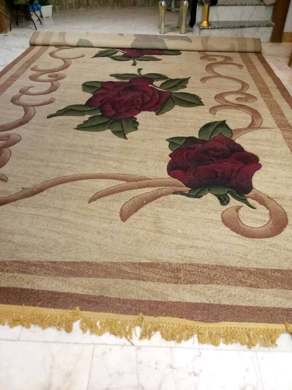 زوليه قياس 6ب3 استعمال موسم واحد العنوان النجف الاشرف كوفه حي ميسان 